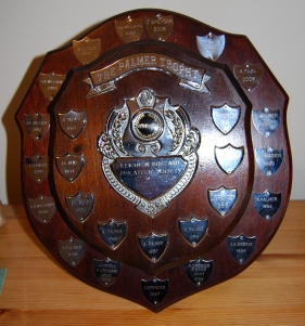 The Palmer trophy, shield, awarded to the best in show